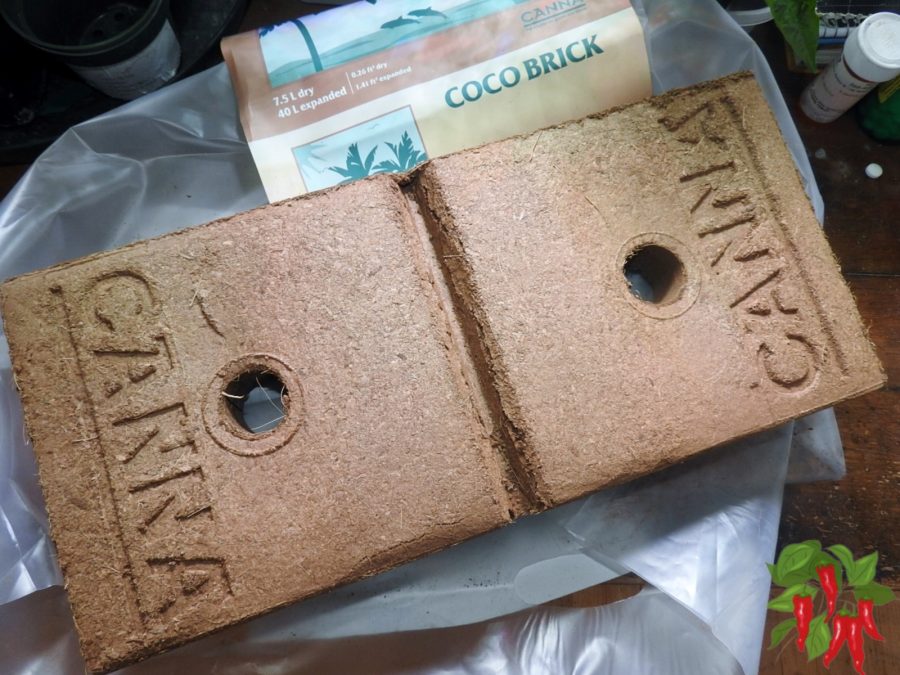 What Is Coco Coir? Beginner’s Planting Guide