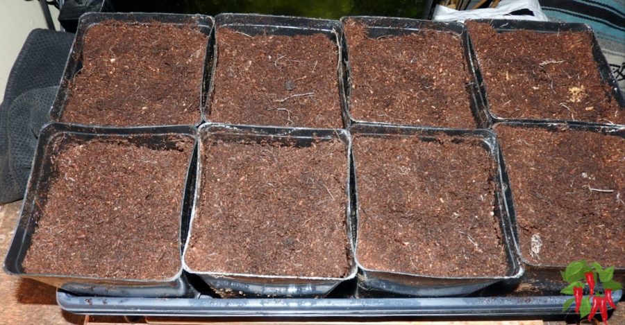 Best Soil Mixes for Containers - coco coir in pots