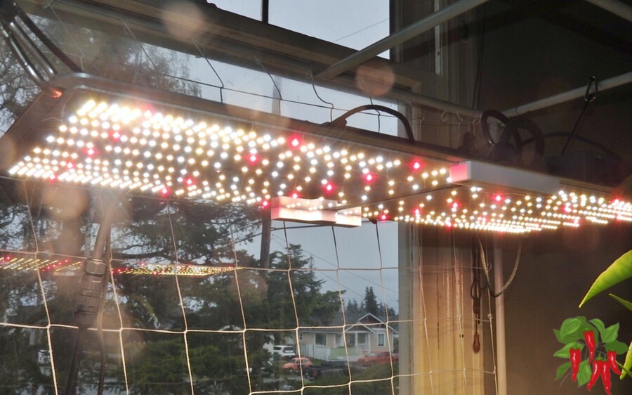 Light and Setup - Do You Really Need Grow Lights to Garden Indoors