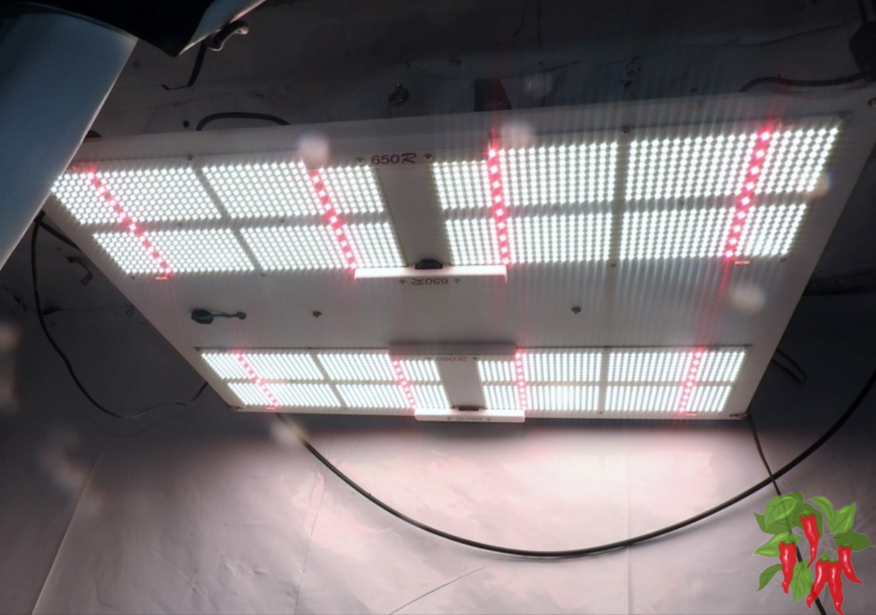 How Much Sunlight Do Indoor Plants Need? - Full Spectrum LED Grow Light