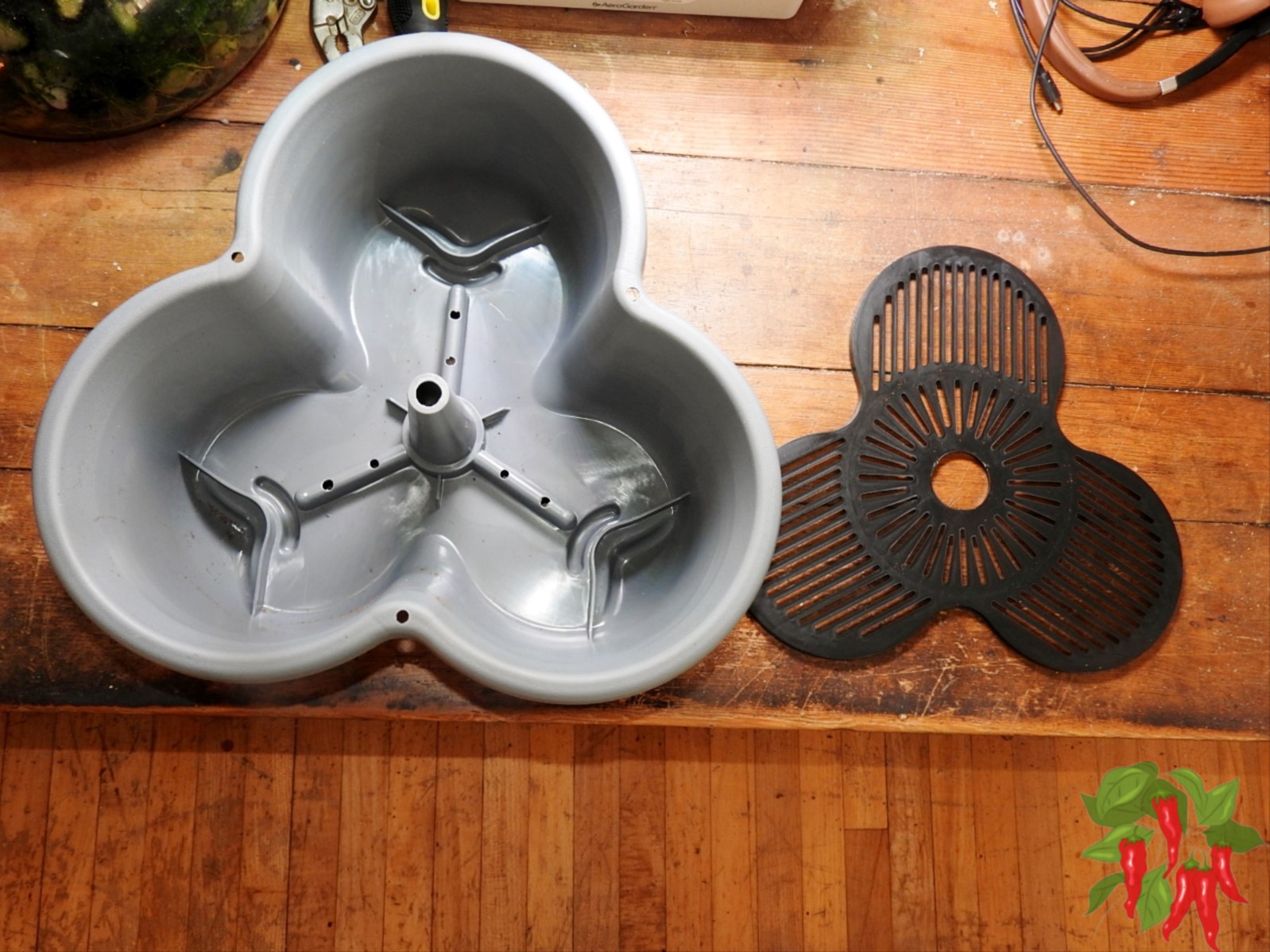 Do Indoor Plants Need Drainage Holes