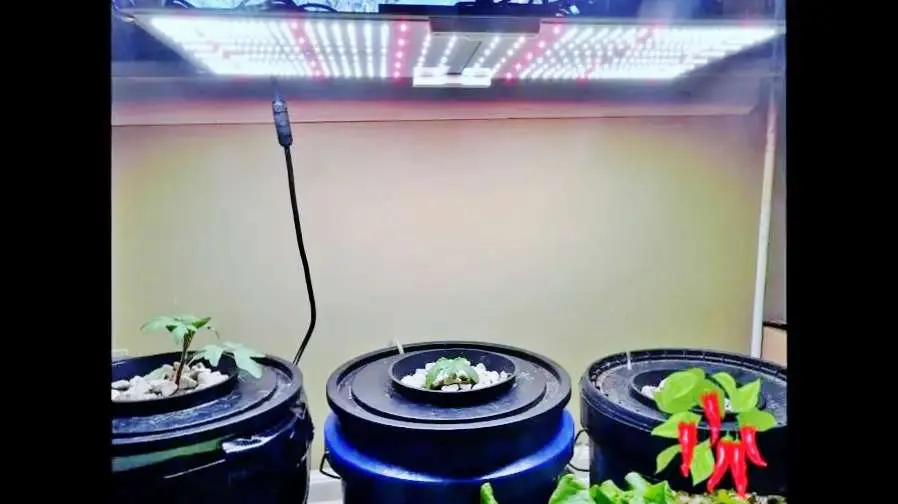 Supplementing Natural Light with LEDs